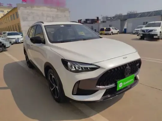 MG Pilot 2021 (41100 км)