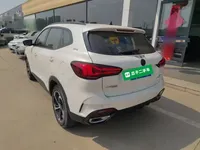 MG Pilot 2021 (41100 км)