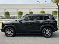 Haval DARGO 2021 (33500 км)