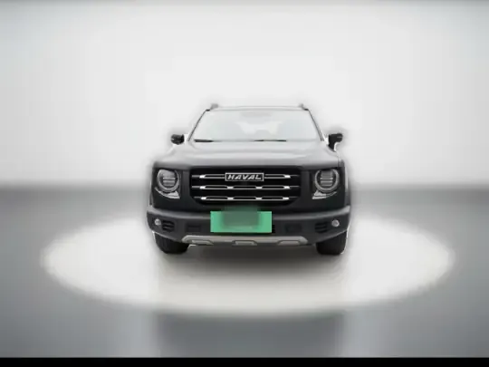 Haval DARGO 2021 (124200 км)