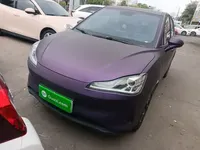 NETA V 2021 (11400 км)