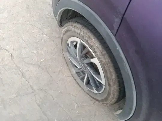NETA V 2021 (11400 км)