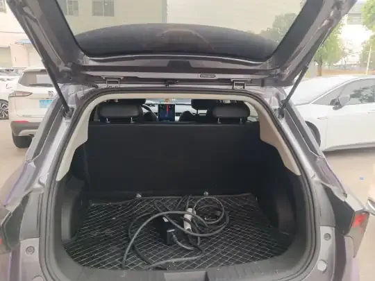 NETA V 2021 (11400 км)