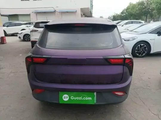 NETA V 2021 (11400 км)