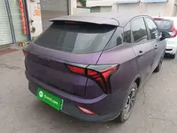 NETA V 2021 (11400 км)