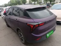 NETA V 2021 (11400 км)