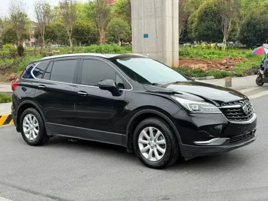 Buick Envision 2021 (102200 км)
