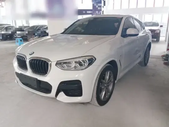 BMW X4 2021 (119100 км)