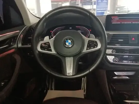 BMW X4 2021 (119100 км)