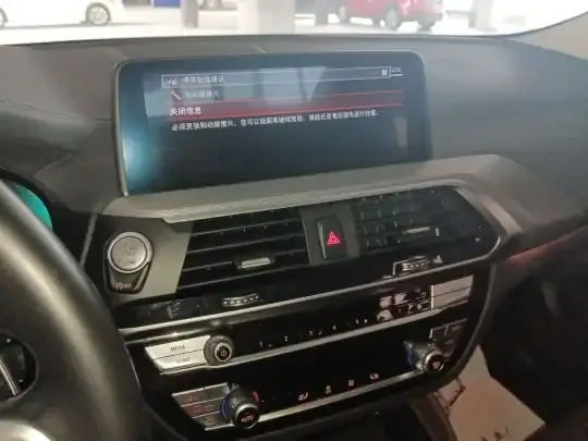 BMW X4 2021 (119100 км)