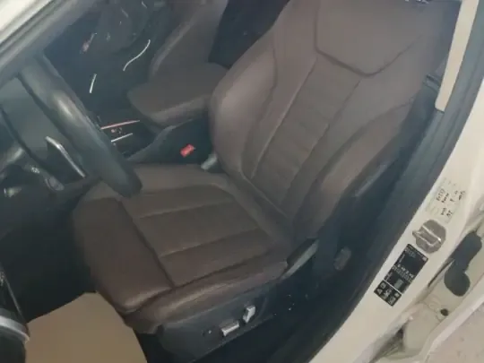 BMW X4 2021 (119100 км)