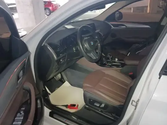 BMW X4 2021 (119100 км)