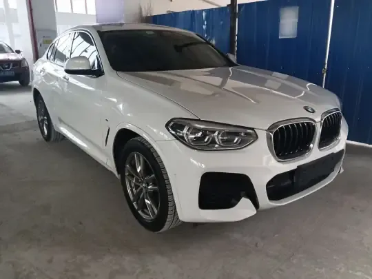 BMW X4 2021 (119100 км)