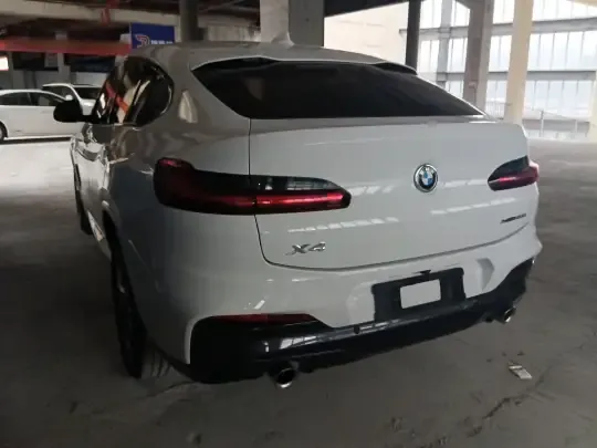 BMW X4 2021 (119100 км)