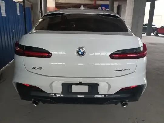 BMW X4 2021 (119100 км)