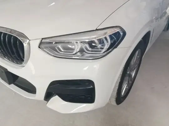 BMW X4 2021 (119100 км)