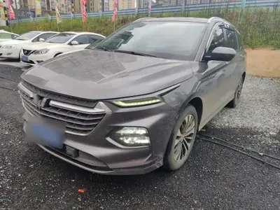Wuling Victory 2020 (74500 км)