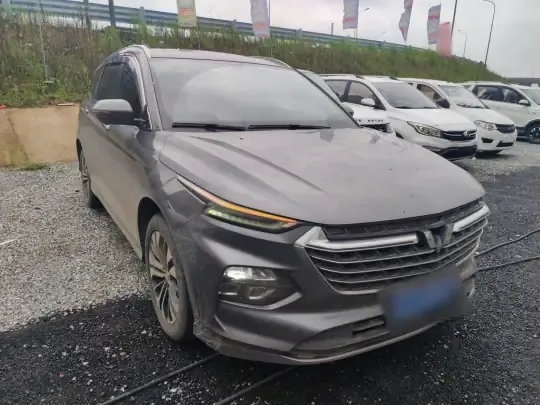 Wuling Victory 2020 (74500 км)