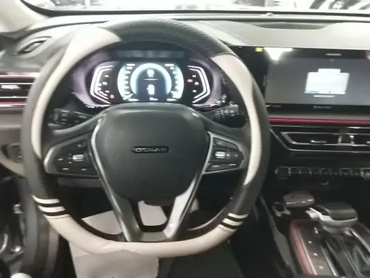 CHANGAN OSHAN X5 2021 (8800 км)