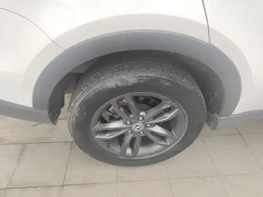 Dongfeng Fengon 580 2021 (57300 км)