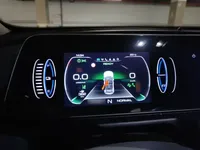 ORA Good Cat 2021 (79800 км)