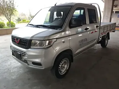 Wuling Rongguang New Truck 2021 (18500 км)
