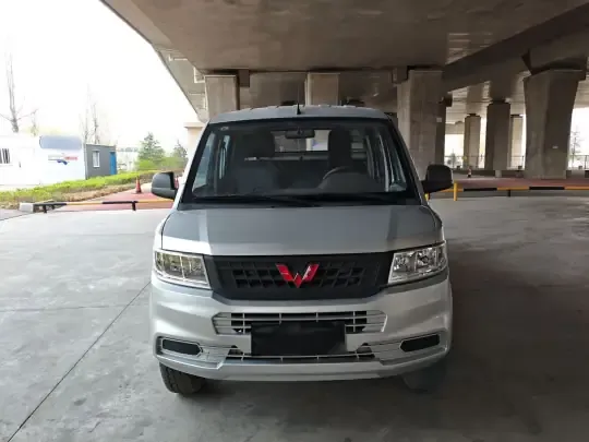 Wuling Rongguang New Truck 2021 (18500 км)