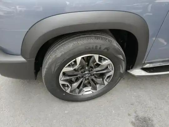 Haval DARGO 2021 (63600 км)
