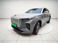 Hongqi E-HS9 2021 (97100 км)