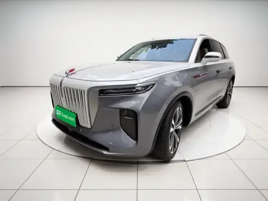 Hongqi E-HS9 2021 (97100 км)