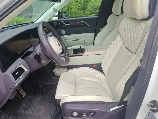 Hongqi E-HS9 2021 (97100 км)