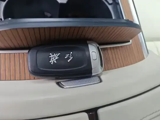 Hongqi E-HS9 2021 (97100 км)