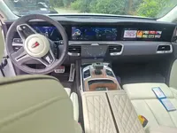 Hongqi E-HS9 2021 (97100 км)