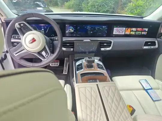 Hongqi E-HS9 2021 (97100 км)