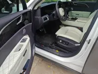 Hongqi E-HS9 2021 (97100 км)