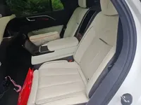 Hongqi E-HS9 2021 (97100 км)
