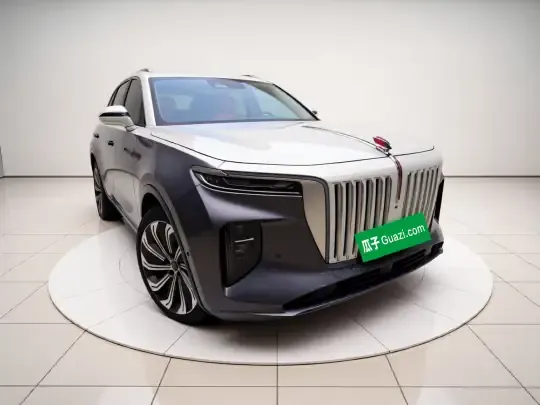 Hongqi E-HS9 2021 (97100 км)