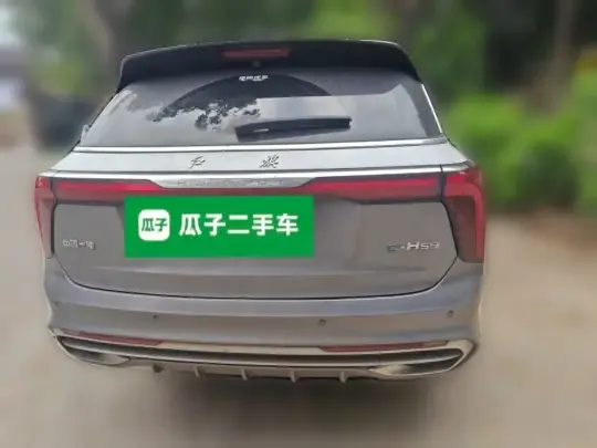 Hongqi E-HS9 2021 (97100 км)