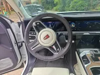 Hongqi E-HS9 2021 (97100 км)