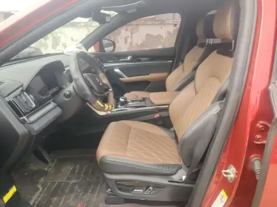 BYD Tang New Energy 2021 (57400 км)