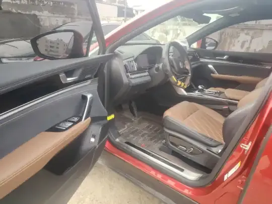 BYD Tang New Energy 2021 (57400 км)