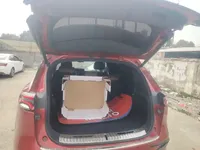 BYD Tang New Energy 2021 (57400 км)