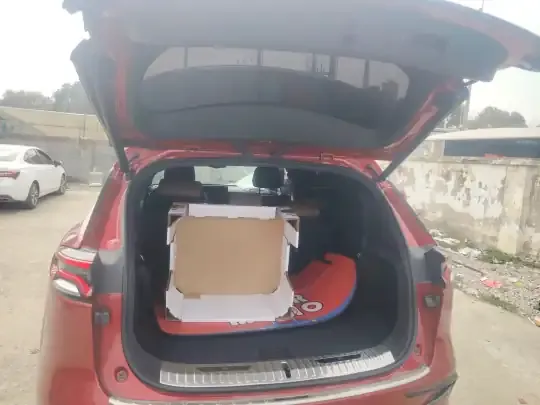 BYD Tang New Energy 2021 (57400 км)