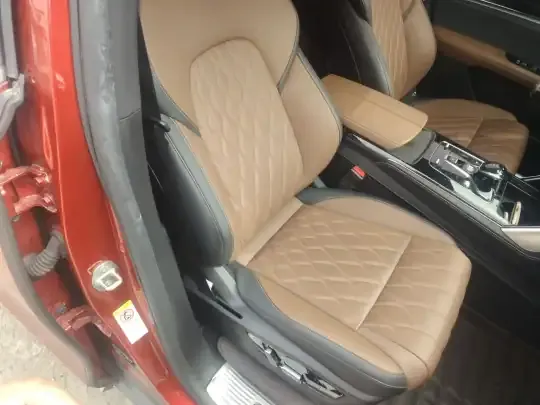 BYD Tang New Energy 2021 (57400 км)