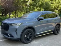 Haval H6 2021 (24300 км)