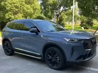 Haval H6 2021 (24300 км)