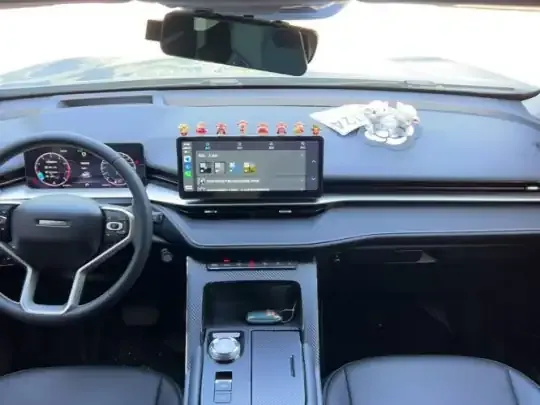 Haval H6 2021 (24300 км)