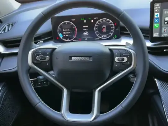 Haval H6 2021 (24300 км)