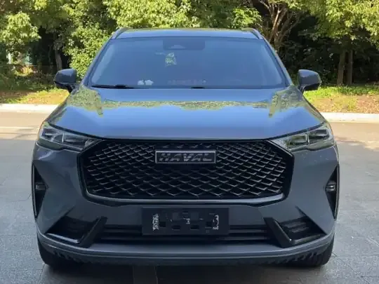 Haval H6 2021 (24300 км)