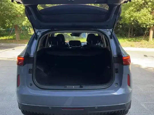 Haval H6 2021 (24300 км)